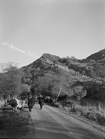 ON KENMARE ROAD NEAR EAGLES NEST